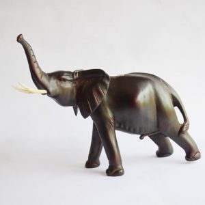 Elephant Yellow Wood